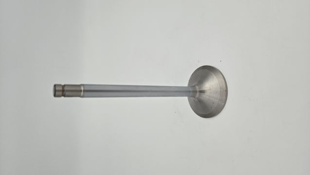 Liebherr 1153d11d-968a-4352-87f2-36923ee98e817033183198378631489-jpg